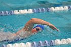 Swimming & Diving vs Babson  Swimming & Diving vs Babson College. - Photo by Keith Nordstrom : Wheaton, Swimming